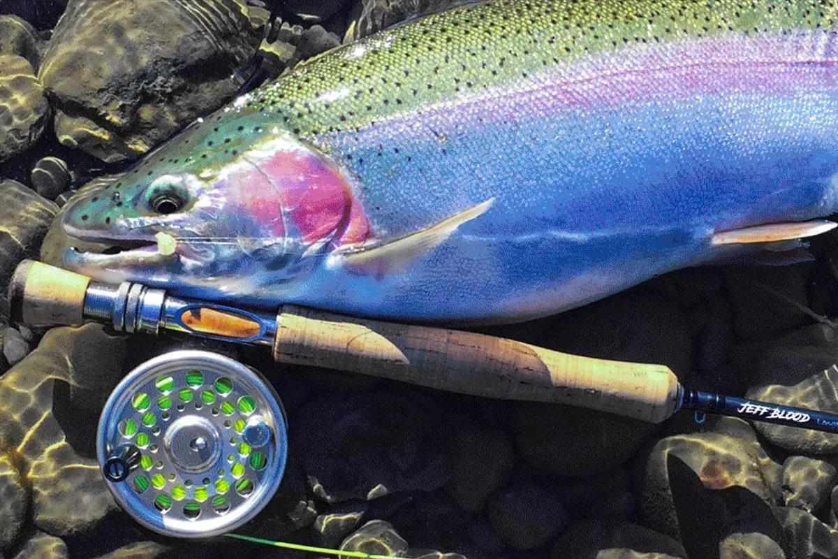 Fishing Finesse: Selecting the Best Fly-Fishing Equipment for Maximum Performance