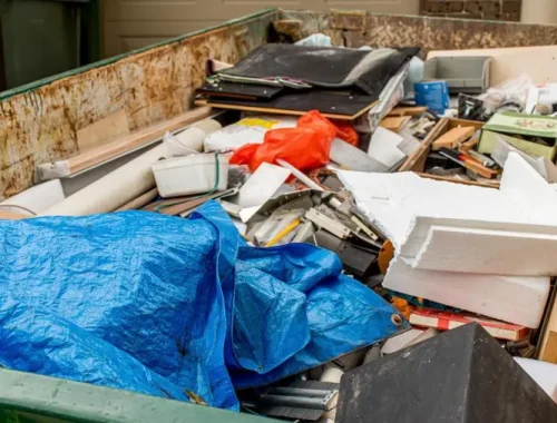 Explore the Junk Removal and Cleanout Challenges