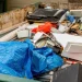 Explore the Junk Removal and Cleanout Challenges